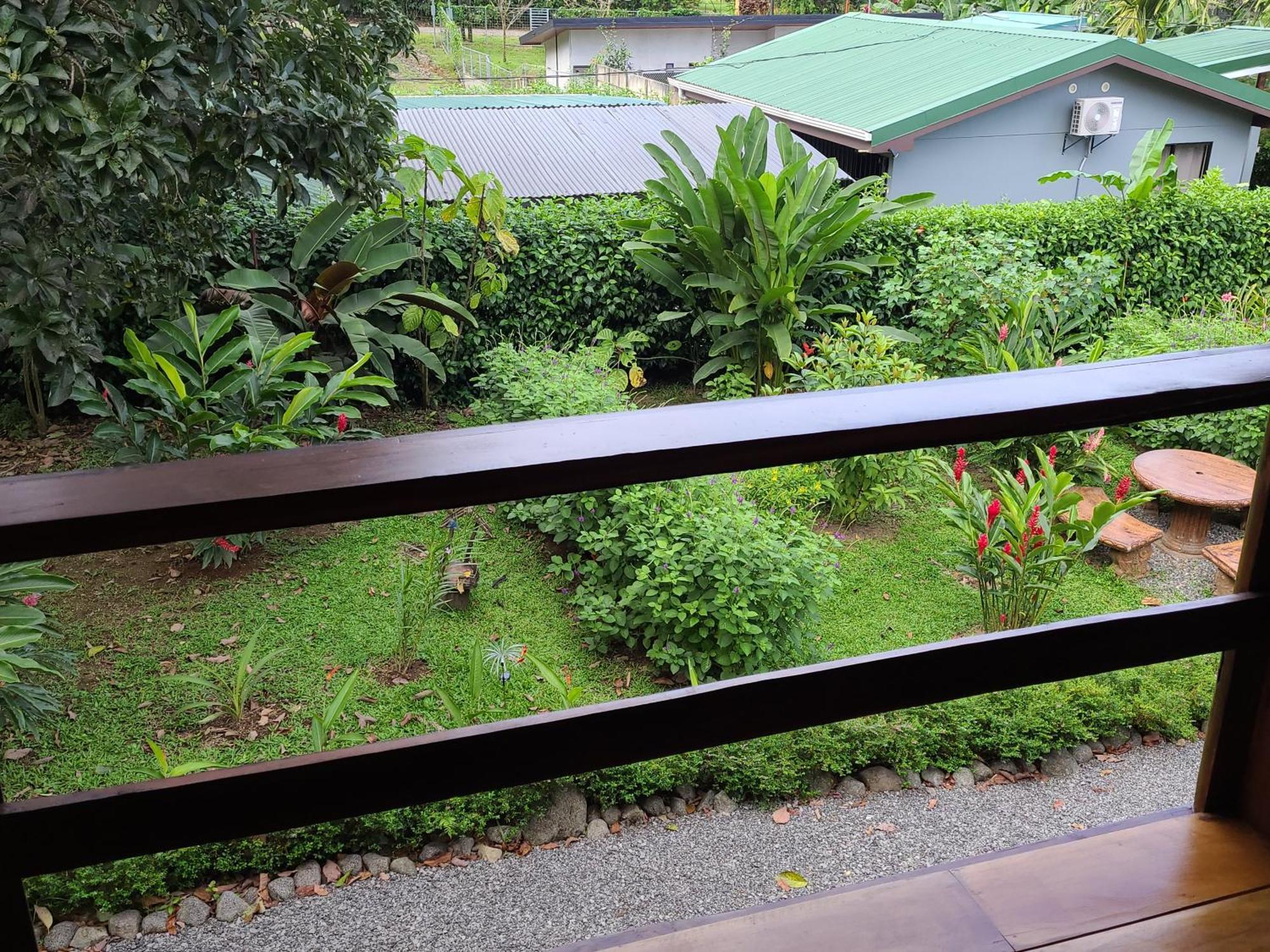 Arenal Sweet Cabins La Fortuna Dış mekan fotoğraf